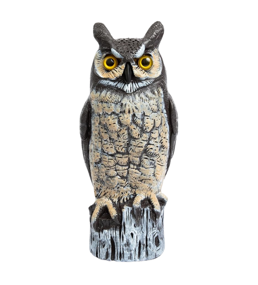 Untitled design (100)